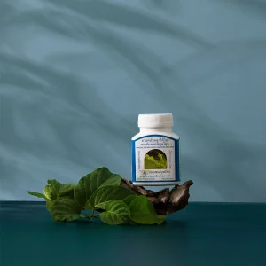 Phyllanthus amarus capsule