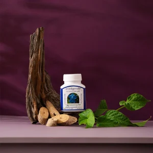 Thumbergia laurisolia capsule