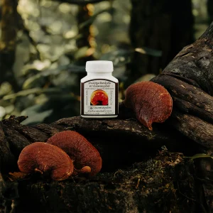 Lingzhi capsule