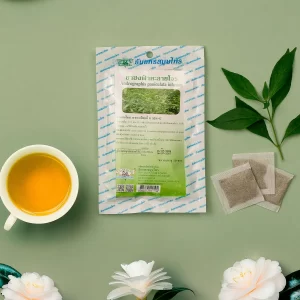 Andrographis paniculata tea