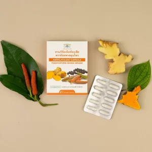 Antiflatulent Capsule