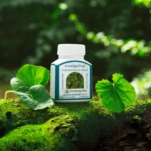 Centella asiatica capsule