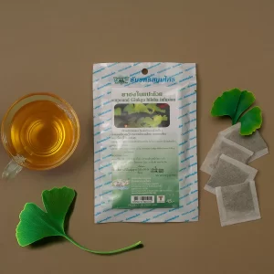 Gingko biloba tea