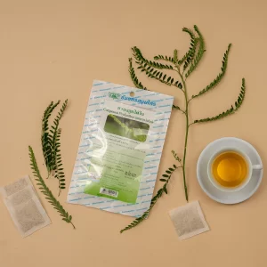 Phyllanthus amarus tea