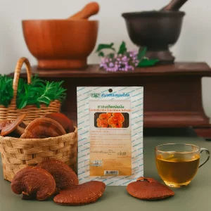 Lingzhi tea