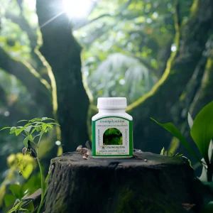 Ginkgo biloba capsule